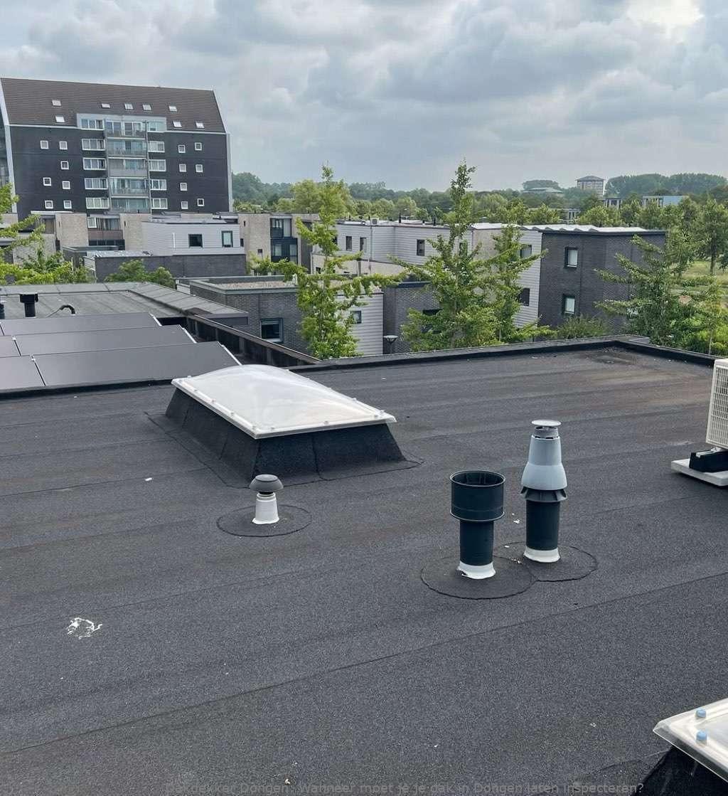 Dak Laten Inspecteren Dongen