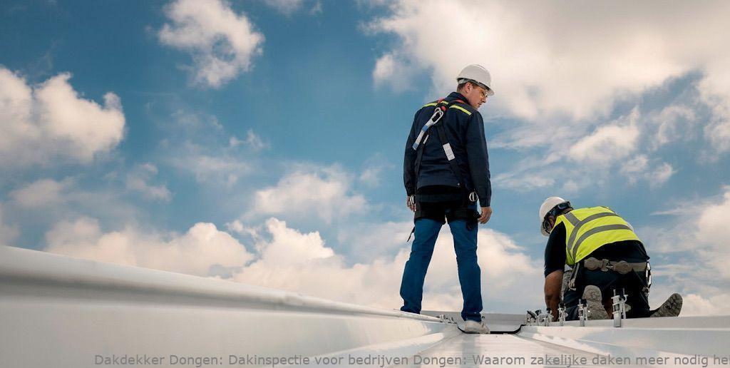 Dakinspectie Voor Bedrijven Dongen