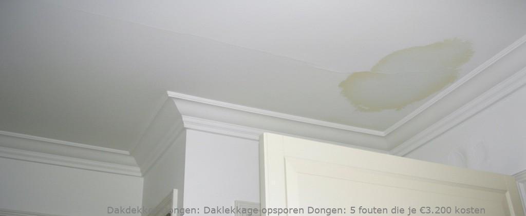 Daklekkage Opsporen Dongen 1