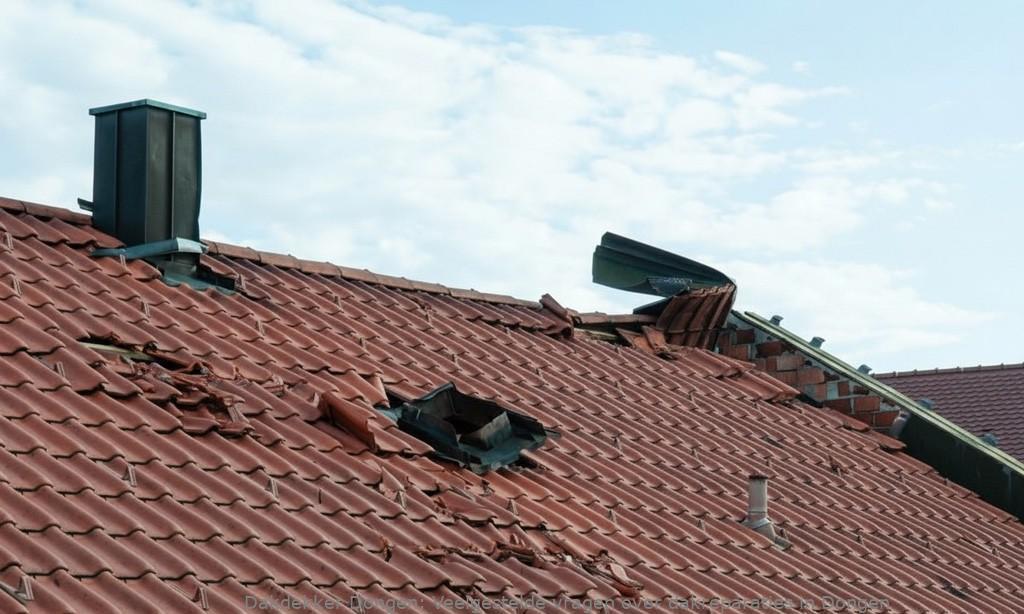 Dakreparaties Dongen
