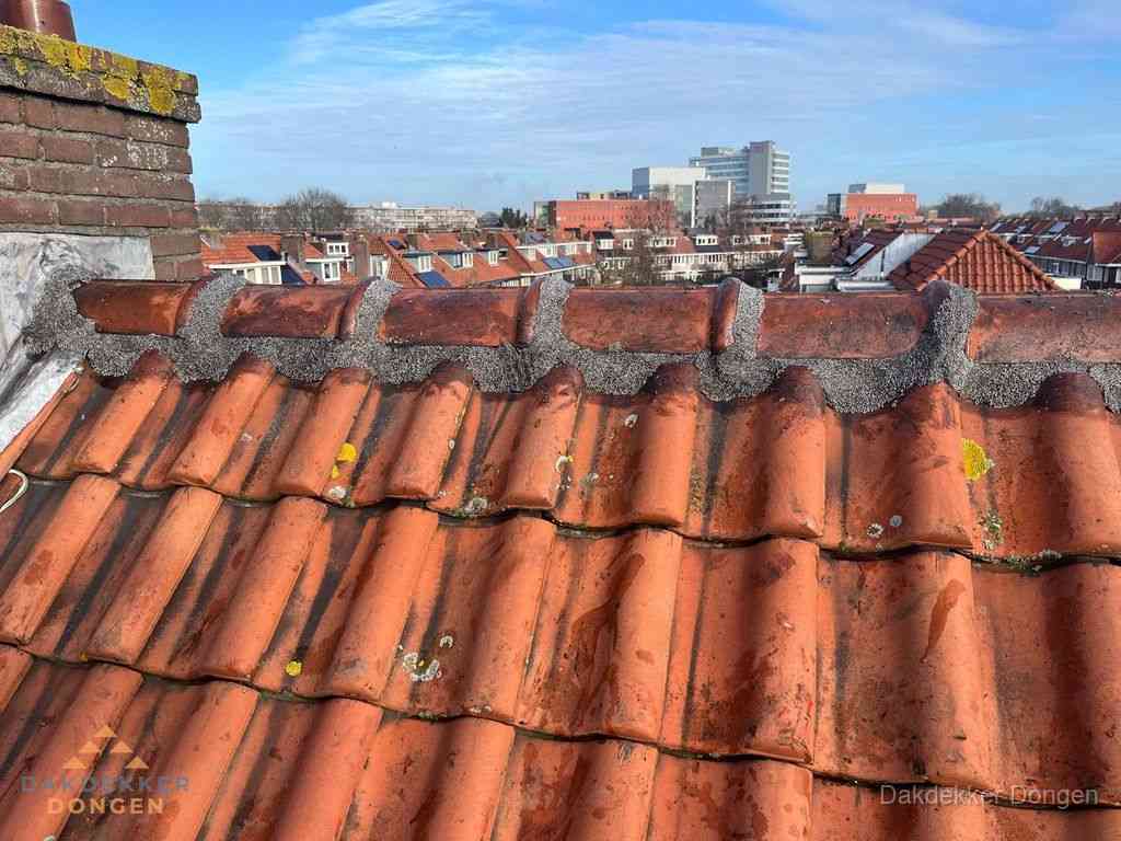 Dongen Daken Renoveren