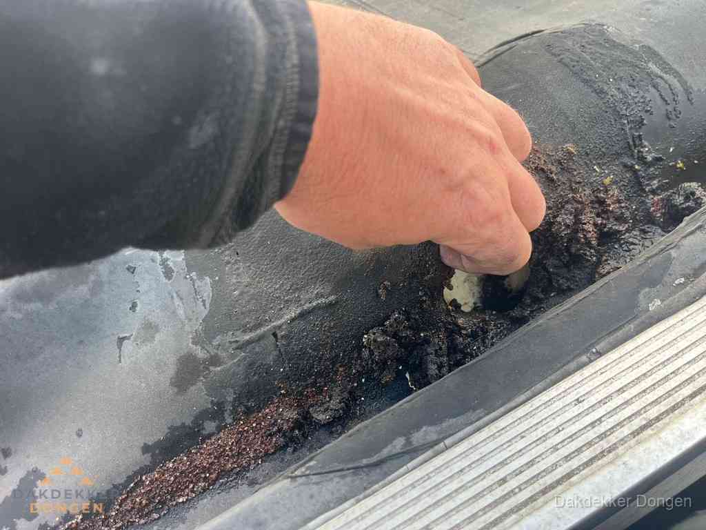 Plat Dak Reparatie Dongen