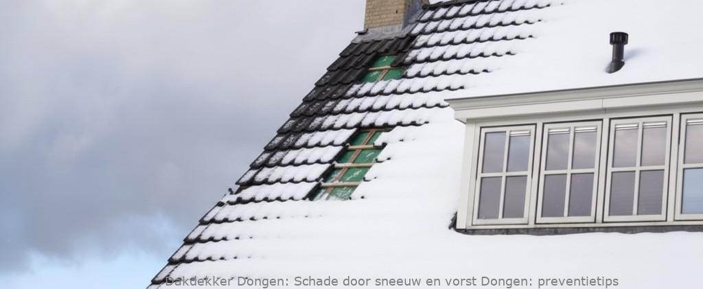 Schade Door Sneeuw En Vorst Dongen