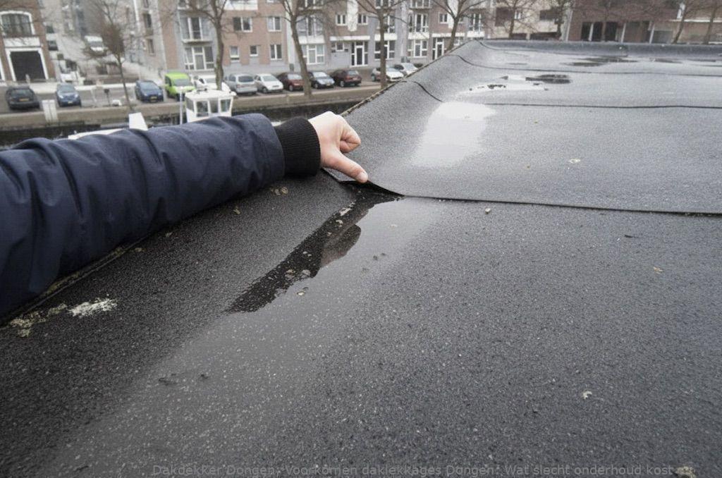 Voorkomen Daklekkages Dongen