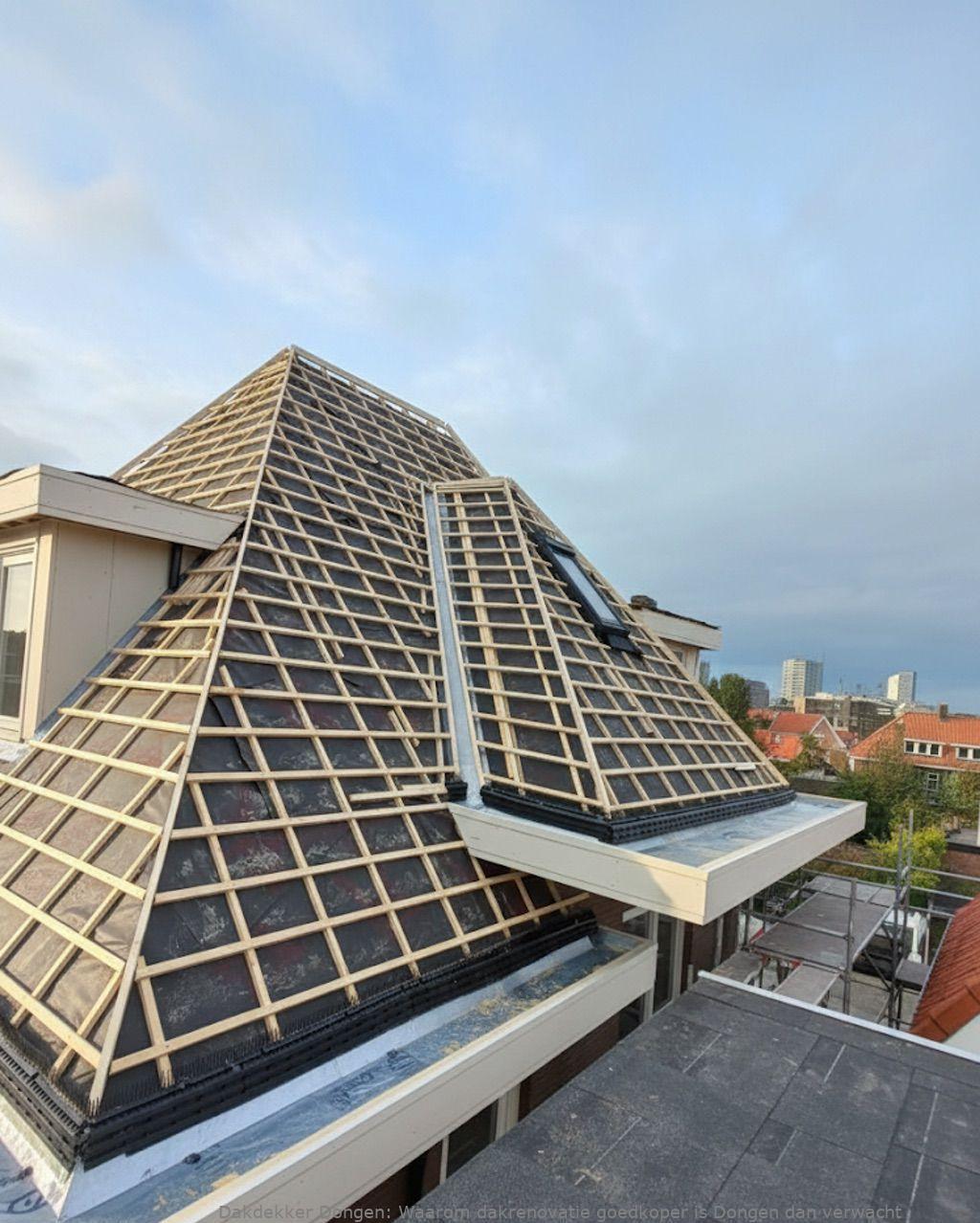 Waarom Dakrenovatie Goedkoper Is Dongen